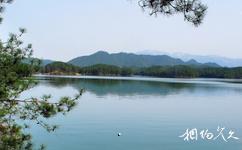 汉中红寺湖旅游攻略之桃花岛