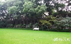 上海宋庆龄故居纪念馆旅游攻略之草坪