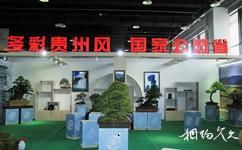 第八届中国花博会[常州]旅游攻略之贵州馆