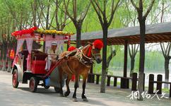 天津杨柳青庄园旅游攻略之马车