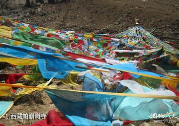 西藏帕崩岗寺照片