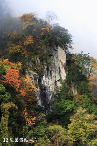 雅安東拉山大峽谷風景區-紅葉照片