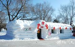 哈爾濱太陽島國際雪雕藝術博覽會旅遊攻略之雪屋