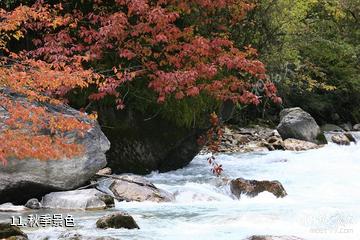 雅安东拉山大峡谷风景区-秋季景色照片