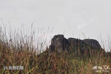 泉州紫云山风景区-卧狮初醒照片
