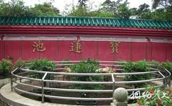香港寶蓮禪寺旅遊攻略之寶蓮池