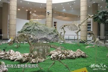 和政古動物化石博物館-和政古動物照片