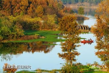 棗陽青龍山熊河風景區-野果溝照片