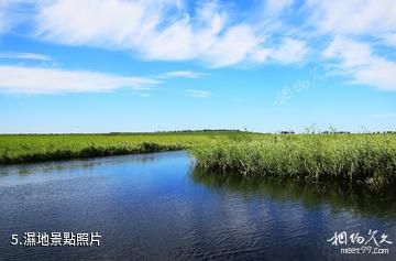 鎮賚莫莫格國家級自然保護區-濕地照片