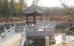 安慶蓮洞國家森林公園旅遊攻略之九曲蓮池