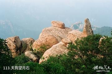 泰安徂徕山国家森林公园-天狗望月石照片