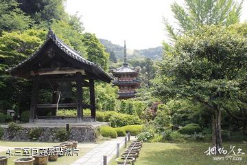 日本京都宇治-三室戶寺照片