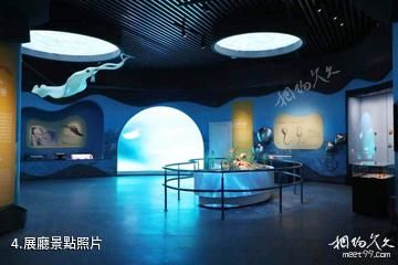 雲南澄江化石地自然博物館-展廳照片