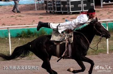 錫林郭勒盟錫日塔拉草原旅遊度假村-馬術表演照片