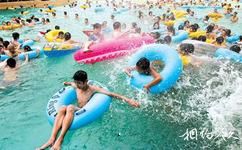 重庆海洋公园旅游攻略之成人戏水池