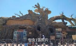 吐魯番坎兒井傳承區驢友相冊