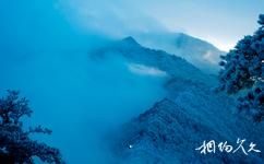 河南小秦嶺國家級自然保護區旅遊攻略之雪景