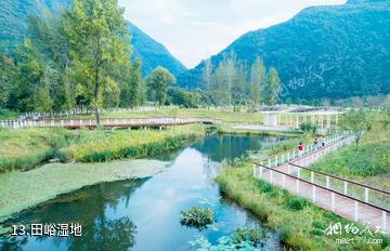 西安周至秦岭国家植物园-田峪湿地照片