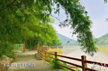 肇慶綏江竹海生態旅遊區-凌波棧道照片