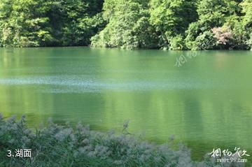 日本白神山地-湖面照片