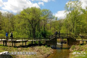 雙鴨山林業局青山國家森林公園-青山風景瀏覽區照片