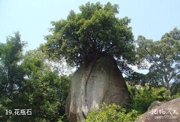 福建九候山风景区-花瓶石照片