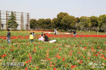 苏州中国花卉植物园-专类花卉园照片