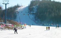 黑河卧牛湖旅游攻略之龙珠远东国际滑雪场