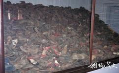 波蘭奧斯維辛集中營旅遊攻略之皮鞋