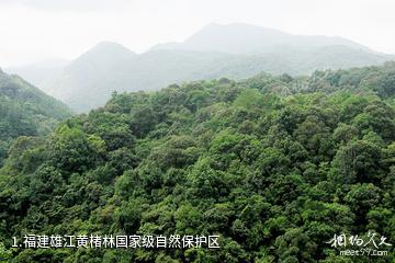 福建雄江黄楮林国家级自然保护区照片