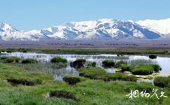 甘肅鹽池灣國家級自然保護區旅遊攻略之湖泊濕地