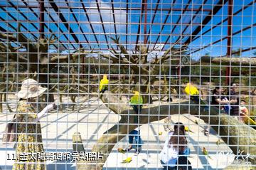 武漢黃陂木蘭花鄉景區-金太陽鸚鵡館照片