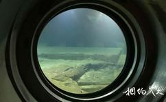 重慶白鶴梁水下博物館旅遊攻略之觀察窗