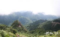 南嶺國家級自然保護區旅遊攻略之廣東第一高峰