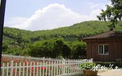 昌吉綠野山莊旅遊攻略之森林浴場