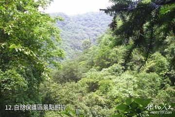 衢州古田山-自然保護區照片