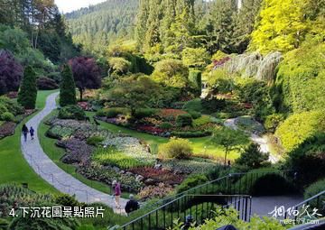 加拿大布查特花園-下沉花園照片