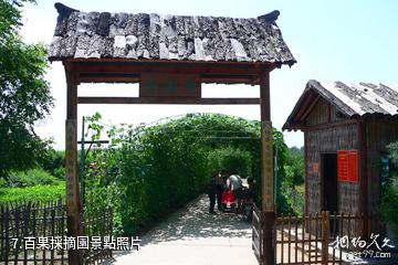 忻州市定襄鳳凰山景區-百果採摘園照片