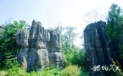 興文僰人巨石陣旅遊攻略之石林