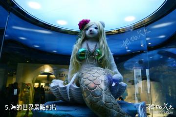 中國泰迪熊博物館-海的世界照片