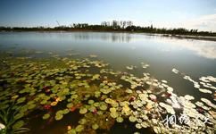 錦州世界園林博覽會旅遊攻略之月明湖