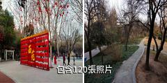 洛陽西苑公園驢友相冊