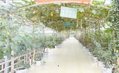 毕节泰丰农业生态植物观光园旅游攻略之名特优蔬菜展示园区