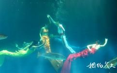 青島海底世界旅遊攻略之海底表演大廳
