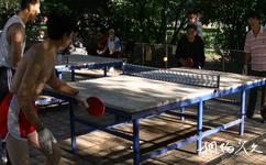 齐齐哈尔龙沙公园旅游攻略之乒乓球