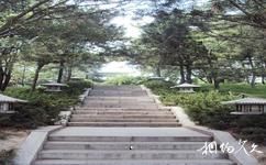 西安唐大慈恩寺遗址公园旅游攻略之牡丹园