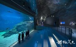 丹麥哥本哈根市旅遊攻略之「藍色星球」水族館