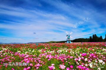 承德豐寧大汗行宮旅遊景區-花卉照片