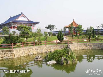 長葛中州人文紀念園-放生池照片