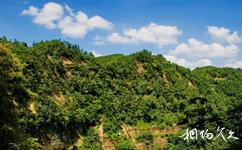 重慶江津四面山國家森林公園旅遊攻略之坪山